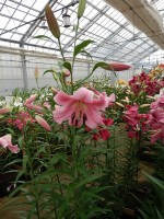 [4160 Jantine Mak No01.JPG]